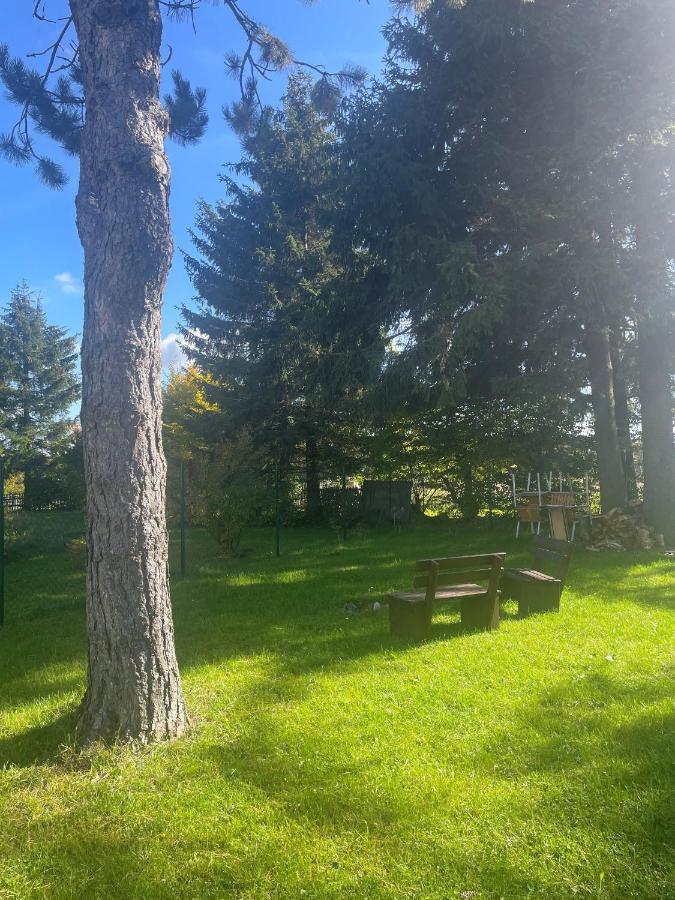 Apartman Studnice Na Vysocine Нове-Место-на-Мораве Экстерьер фото